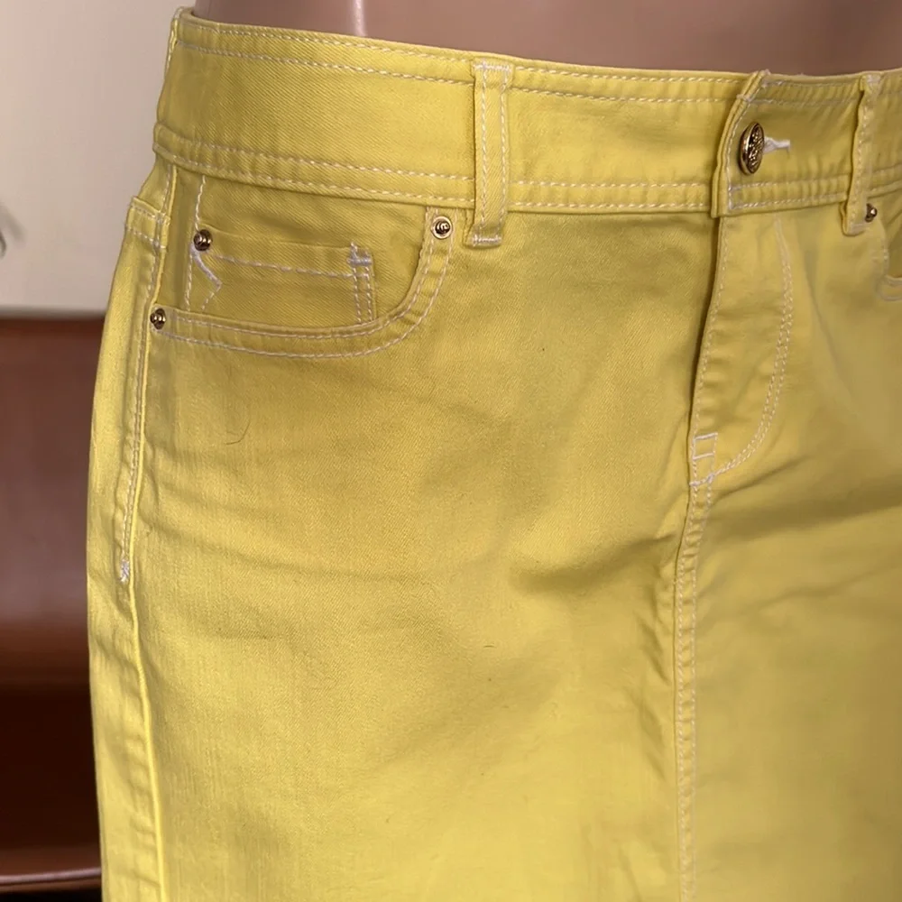 CACHE Skirt (CLST)‎